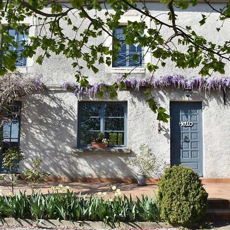 Bed and Breakfast Le Tilleul De Ray Ray-sur-Saone Exterior foto